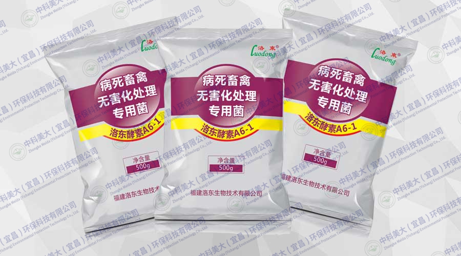 &#108;&#101;&#121;&#117;&#46;&#20048;&#40060;&#40;&#38598;&#22242;&#41;&#26234;&#33021;&#31185;&#25216;&#32929;&#20221;&#26377;&#38480;&#20844;&#21496;&#32593;&#31449;